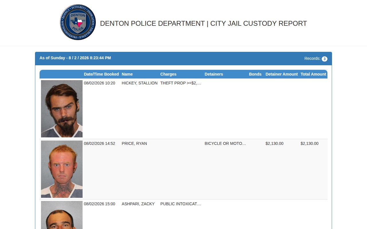 City of Denton Jail current custody report, not released inmate history